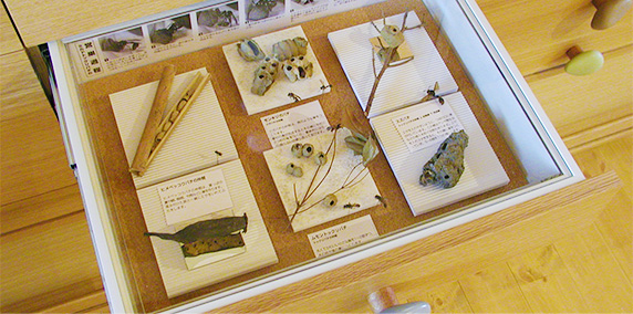 Photo02