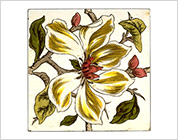 Transfer Printed Tiles with Floral Design
