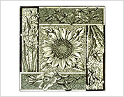 Transfer Printed Tiles with Floral Design
