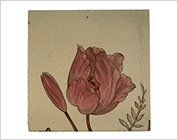 Transfer Printed Tiles with Added Hand-Colouring (Flowers in the Pot)