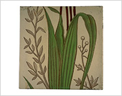 Transfer Printed Tiles with Added Hand-Colouring (Flowers in the Pot)