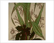 Transfer Printed Tiles with Added Hand-Colouring (Flowers in the Pot)