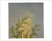 Hand Painted Tiles with Design of the Nature Scene
