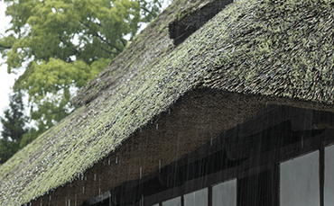 Deep eaves of thatched roof homes helped to prevent rain from coming inside.