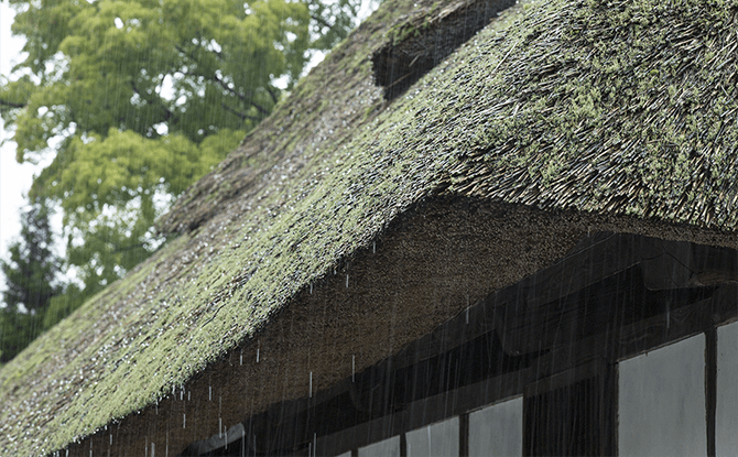 Deep eaves of thatched roof homes helped to prevent rain from coming inside.