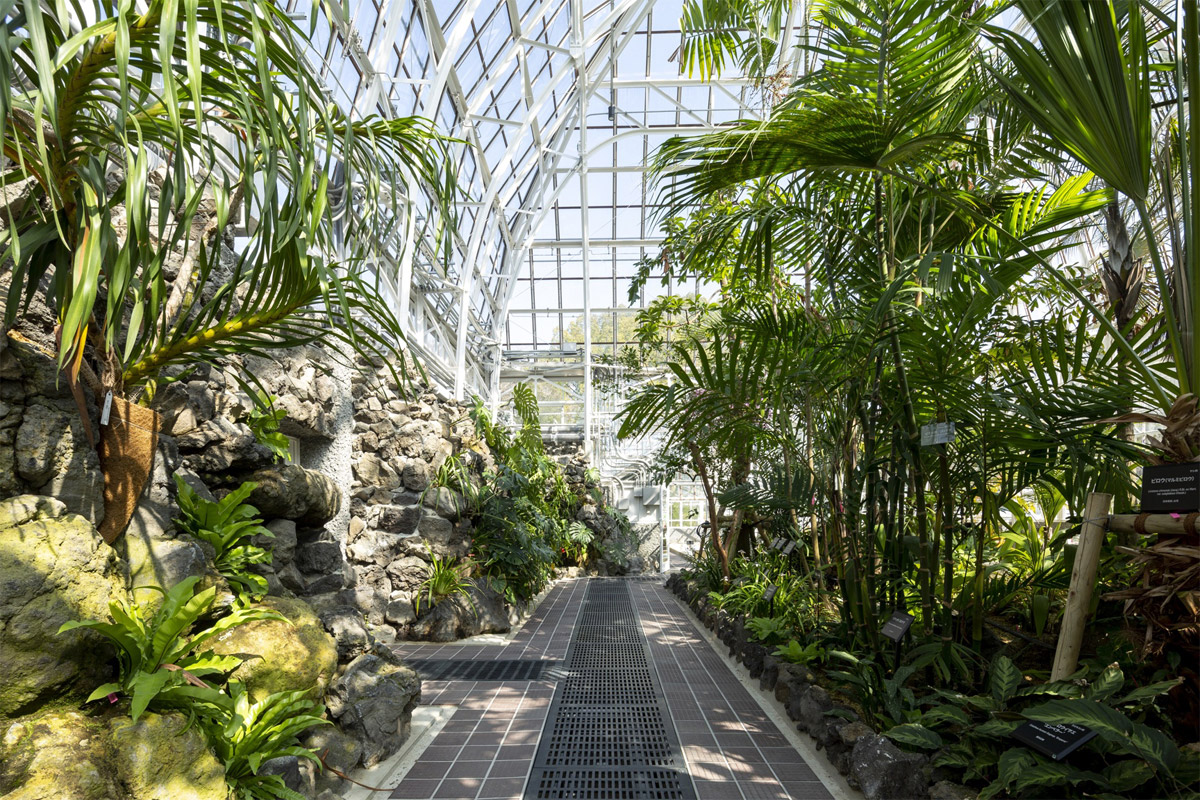 名古屋市東山植物園温室前館 画像6