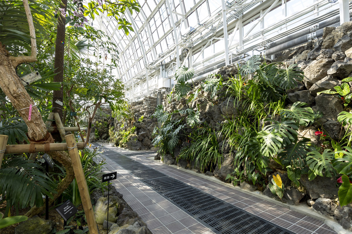 名古屋市東山植物園温室前館 画像7