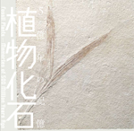 植物化石<br>──5億年の記憶