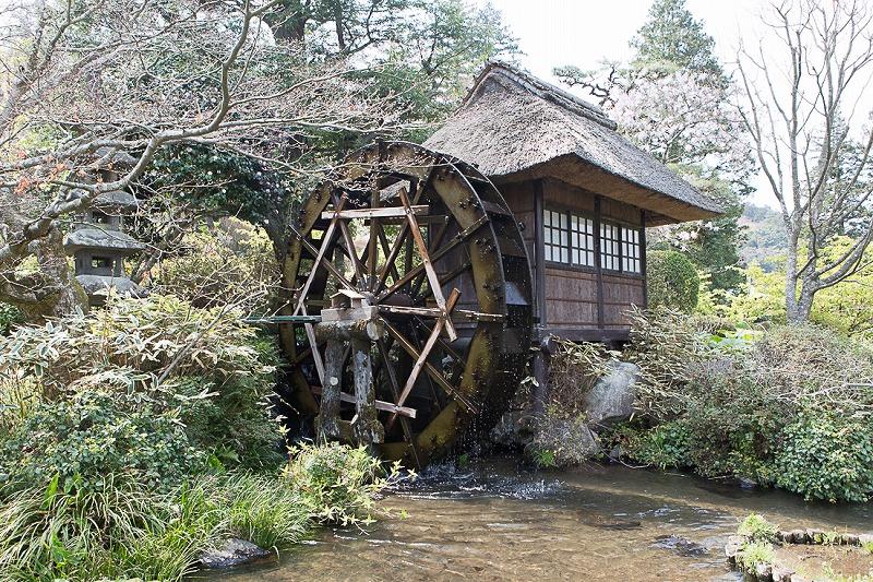 歴代の営繕が造り替えてきた庭の水車。