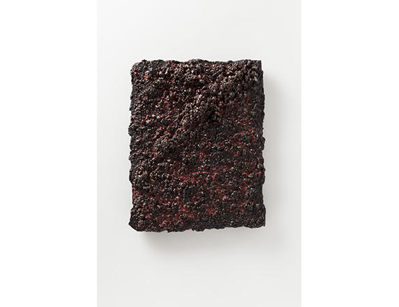 アーティスト・トーク<br>谷本景展